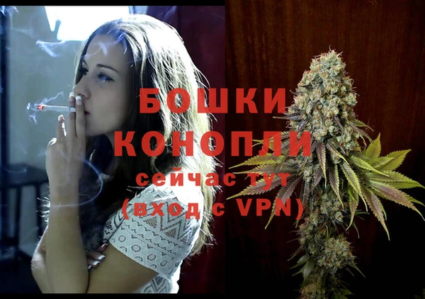 mdpv Медвежьегорск