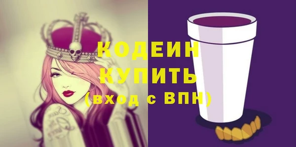 гашик Мегион