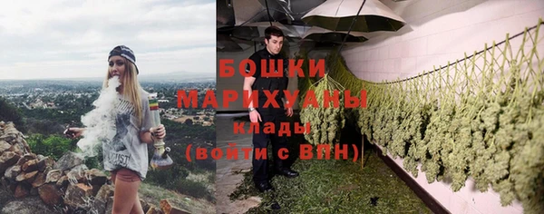гашик Мегион