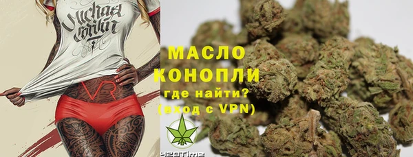 гашик Мегион