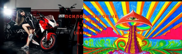 mdpv Медвежьегорск