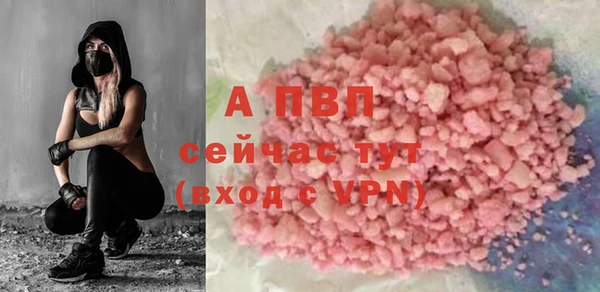 гашик Мегион