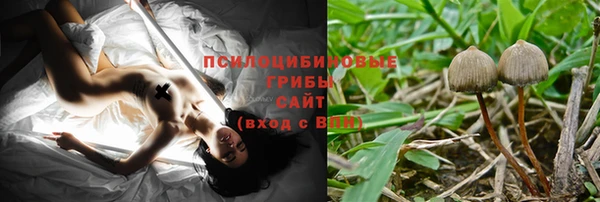 эйфоретик Медногорск
